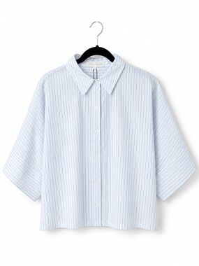 Zara Pale Blue & White Pinstripe Button-Down Shirt